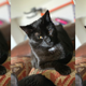 Adjusting the f-stop allows you to save portrait images that might otherwise be too aggressively blurred. From left to right: f-stop 1.4, f-stop 4, f-stop 5.6.